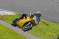 Lower Group Yellow Bikes
